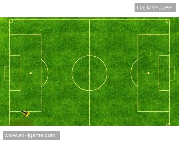 足球组织架构解析及其对职业联赛发展的影响与启示